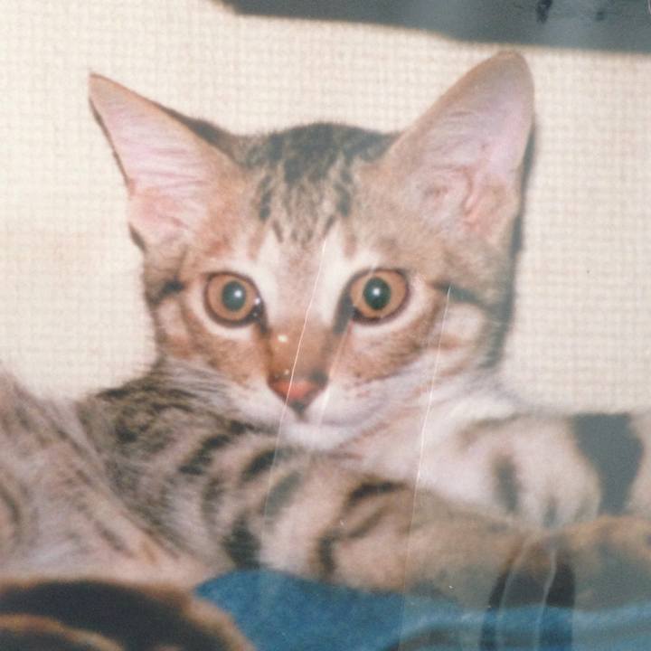 Af70c398 ab68 4bce aaa5 7282ae7d2c1e