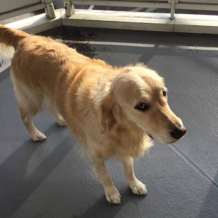 Af70ecce 346c 43b4 8c9b 2e7a9c42c0f9