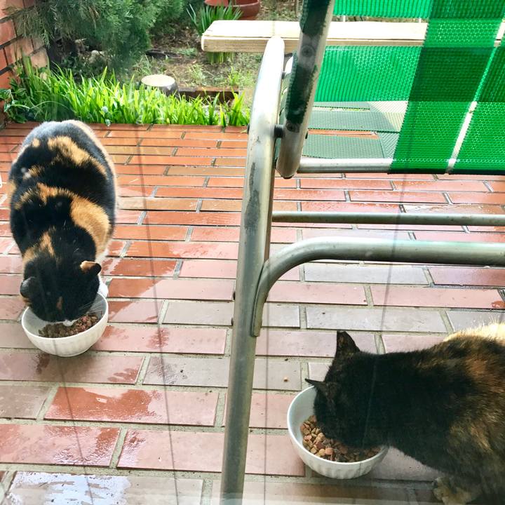 Af71052d 2ea0 4659 8f9f 714fe1165002