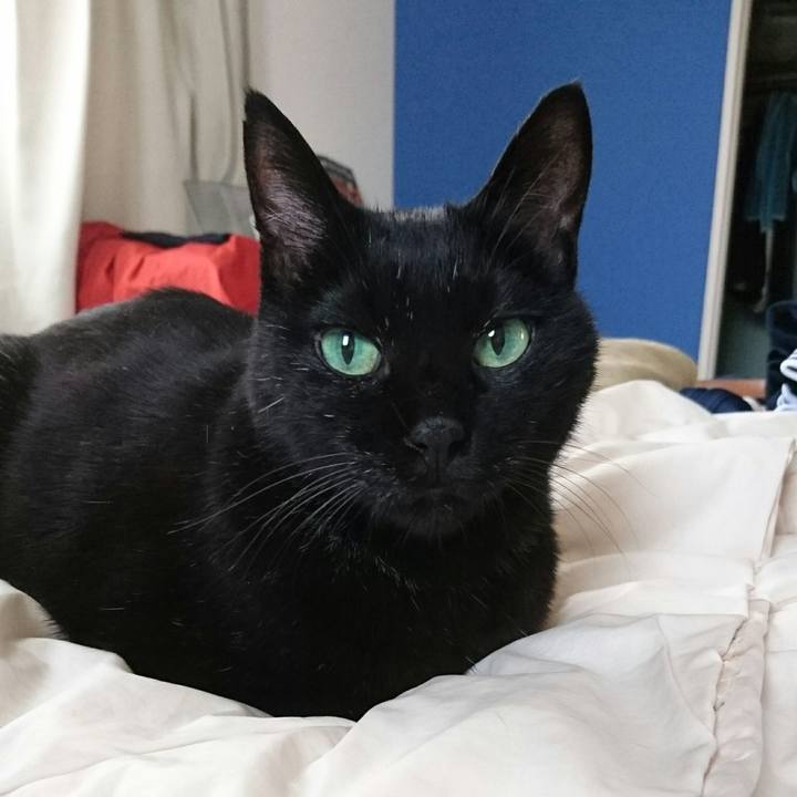 Af71b4a1 2466 4c13 857e 0562e782102f