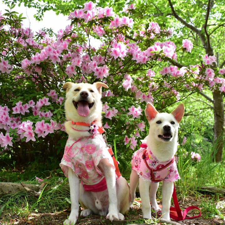 Af71d841 8688 4c95 94c5 abf06541f881