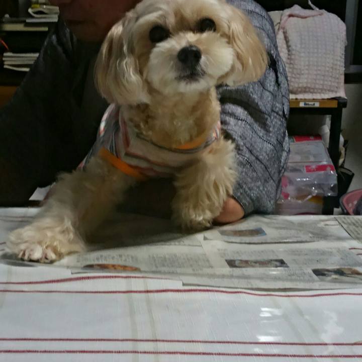 Af726531 47d9 42c5 9d14 86c086dc93dd