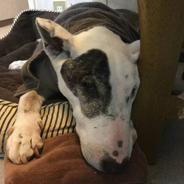 Af727336 d6db 419c a4d3 789b8719c76b