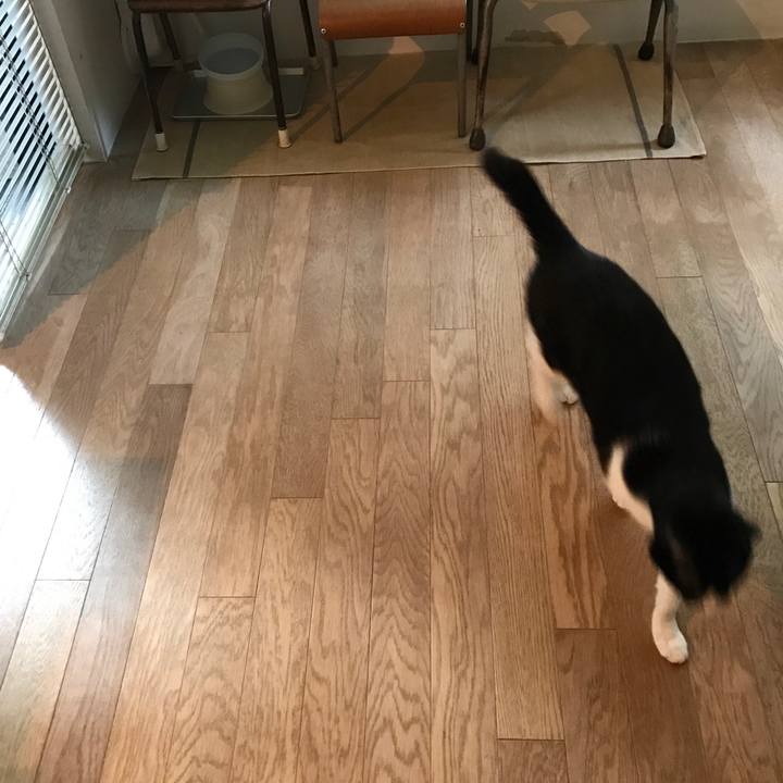 Af72c0a7 e62f 40f0 81c8 d52f7fde42b4