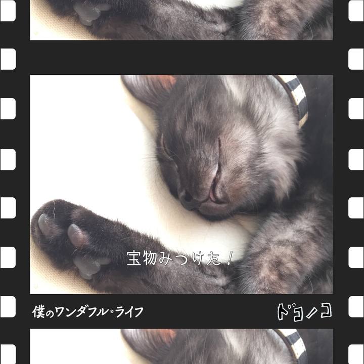 Af72c0a9 c648 4ed4 9166 e3a8a06ff4ce