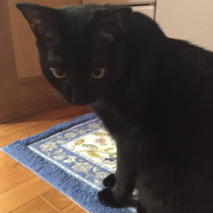 Af730eb2 4a5d 4aff b328 3f4eb2cf2c4d