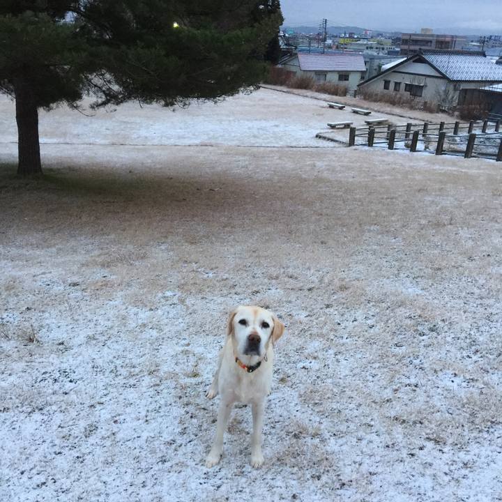 Af747dd4 3ab0 4d5f ba4e 07400aa3707e