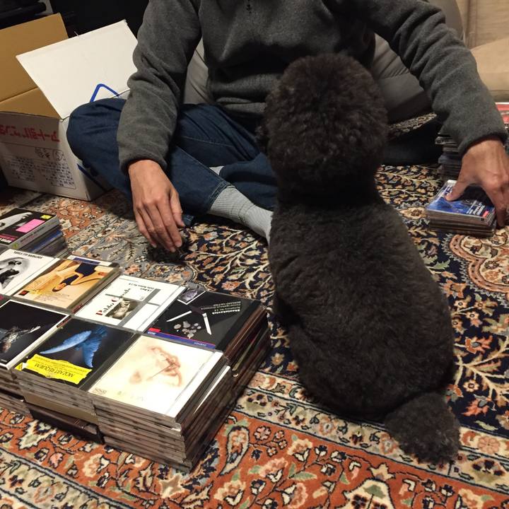 Af74cc68 2a9f 409b 8251 dbdcdd5d6406