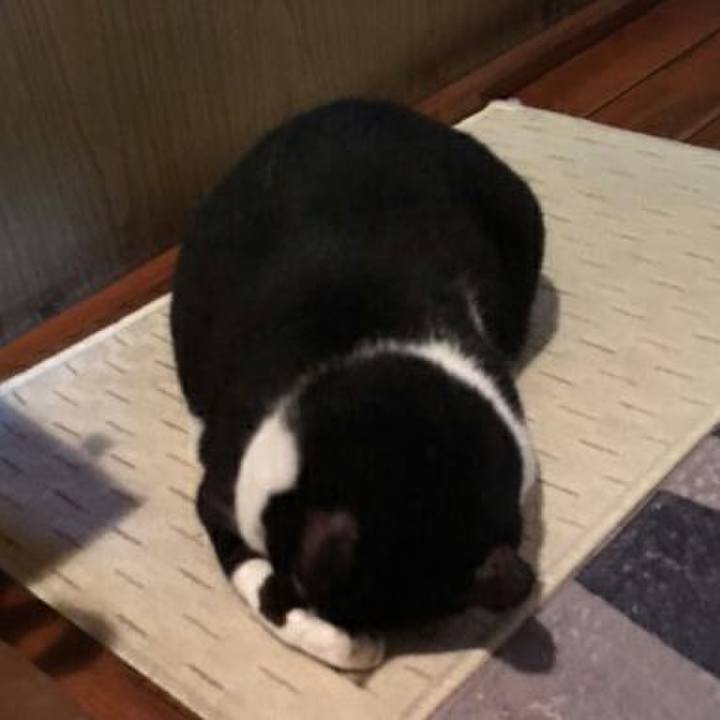 Af752a72 3ea0 49c8 a2cf 07c4e3f391af