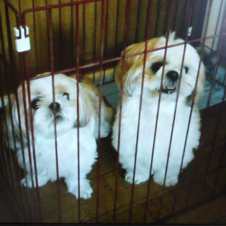 Af760f0d 8334 48b7 b861 3acb7ab3ded3