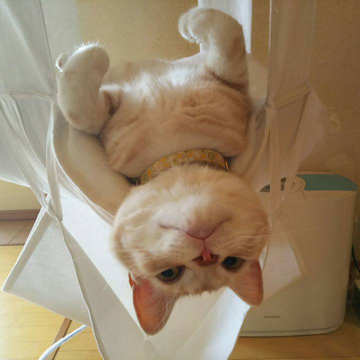 Af764fc4 3f2d 46f6 bc5e 64e2b2643d40