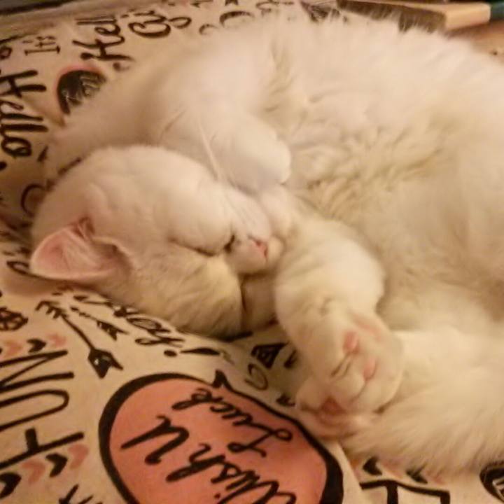 Af76cd05 dc72 4ffc b349 0003dce2289f