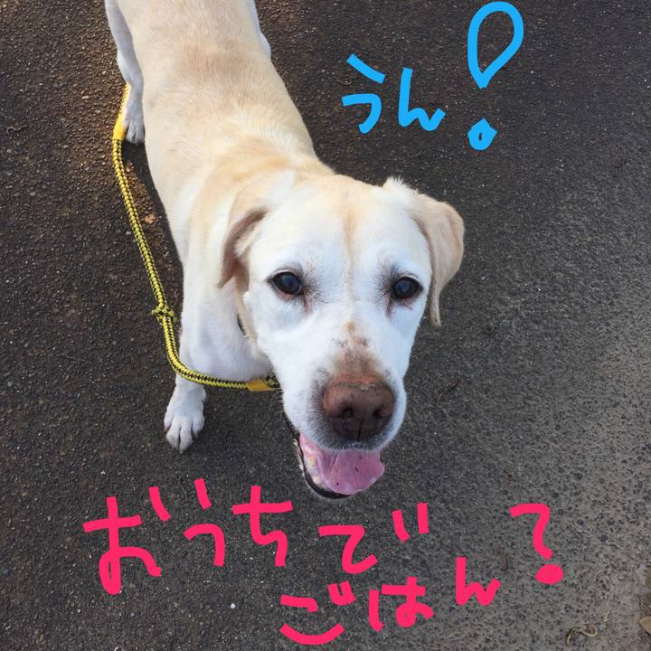 Af774a0e 3b91 4799 9b99 b4ba9feaaa53