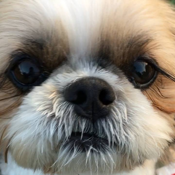 Af781f37 6458 451e 888d 2adb92923302