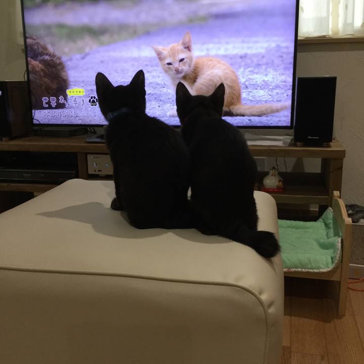 Af783ad1 f86c 4b65 bcb8 c5d293c7a31d