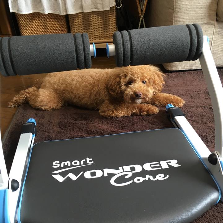 Af78408f 572d 4e87 abcc 717828a76097