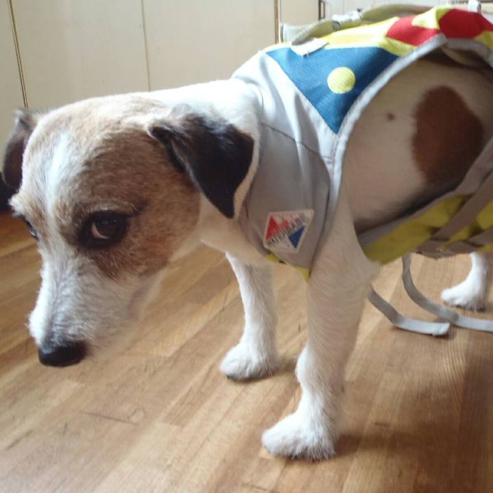 Af785525 85a5 43c3 b760 73380a34c211