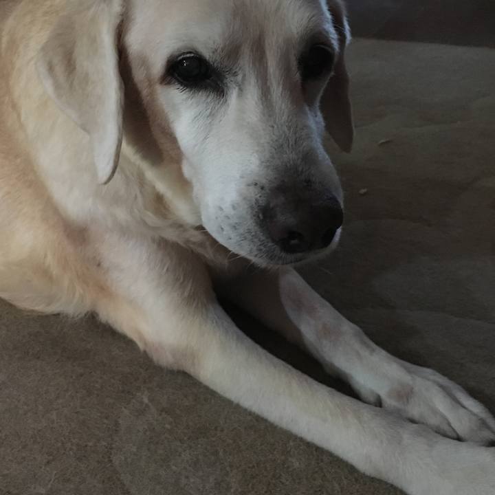 Af7859c5 bb89 4791 9252 0886ecf3ae35