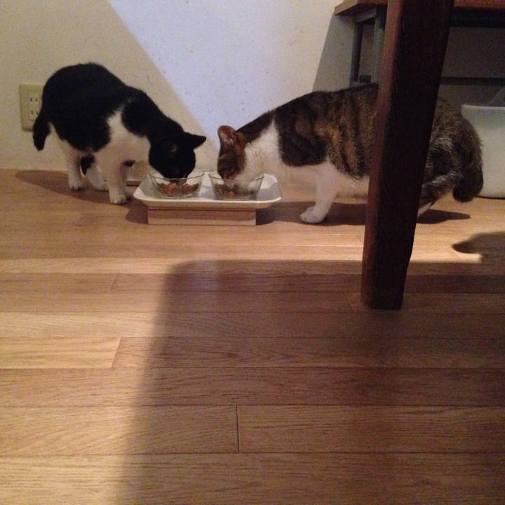 Af78f2b1 c969 4640 ad02 7697aacaab55