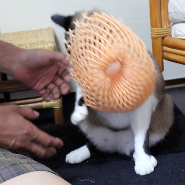 Af798cd8 fac3 4d1a b8c2 d7e061f7427c