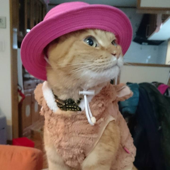 Af7a1de6 f5c8 41bd a6b8 3d948032f0b8