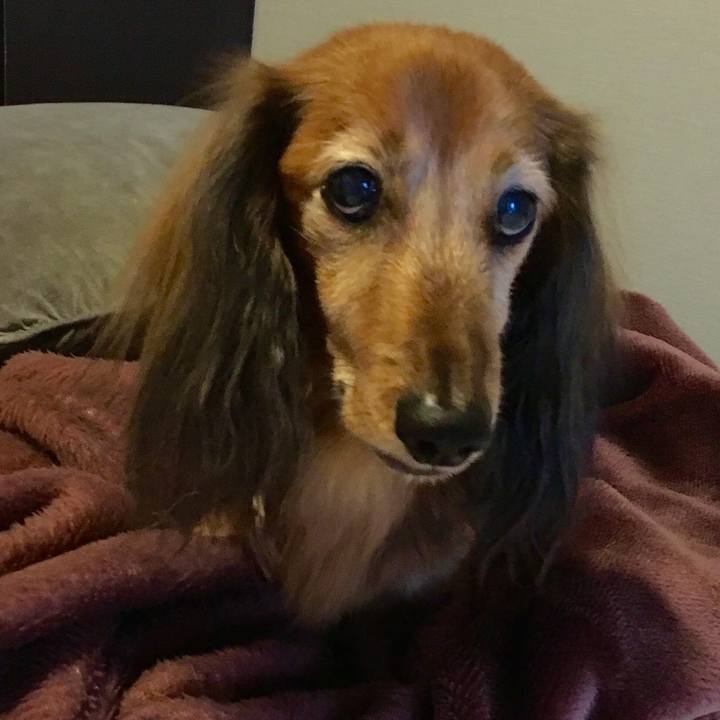 Af7a4f48 818d 4c6b b6c8 d4c736c15dad