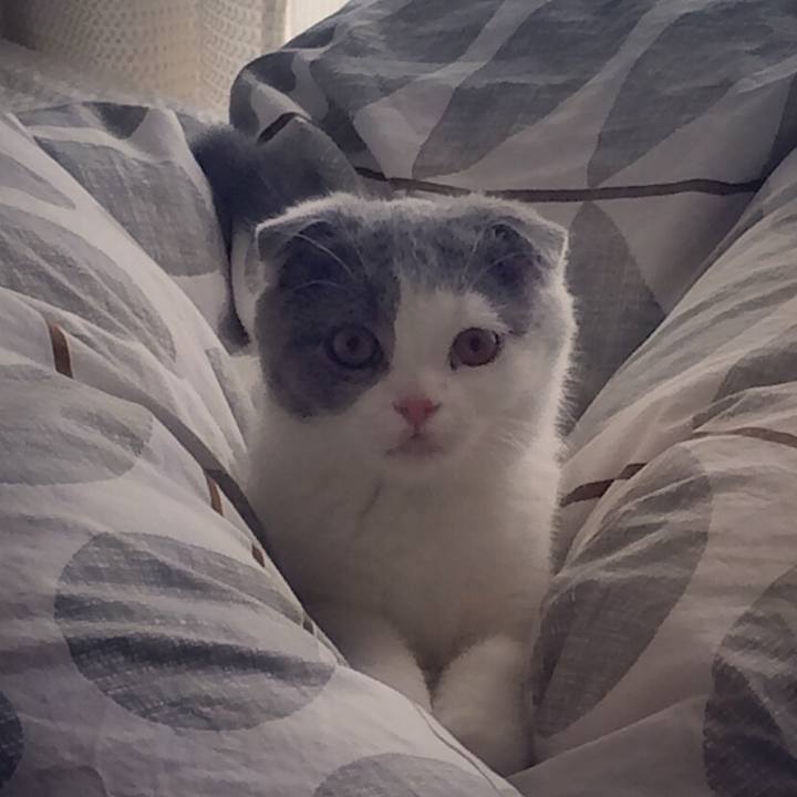 Af7adc55 8ce5 40f1 b5ec 4696a405b316