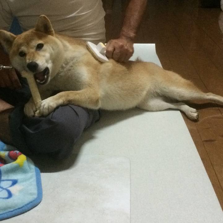 Af7b01ed 047d 4fe9 97a7 42287611bbb1