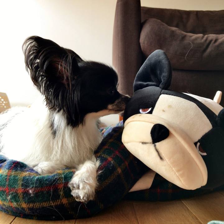 Af7bb877 0986 4947 8275 1b6f296bc6ba