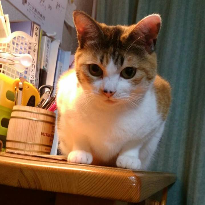 Af7c7005 513f 470f 9a3e ebd4956856cb