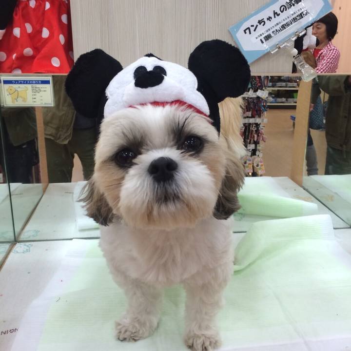 Af7cd428 c8df 49d5 9c2d 1971bfbcdb77