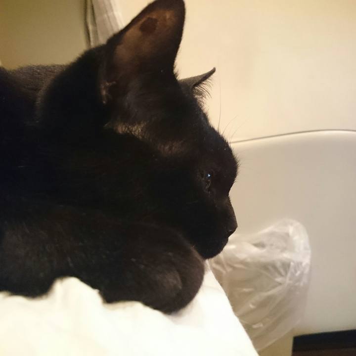 Af7db2f0 8b4c 49dd 85b4 3bdd54b6c1c4