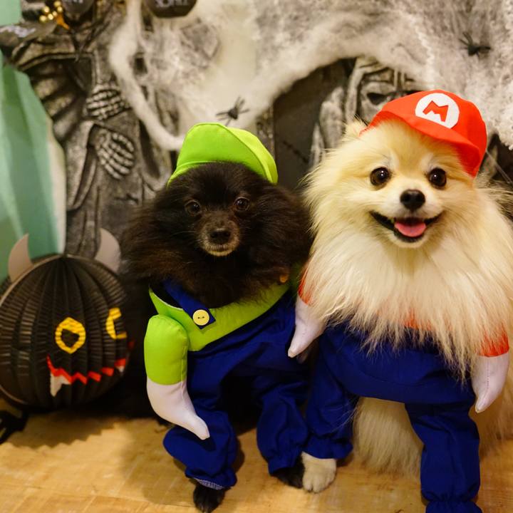 Af7ee05c c1c1 4091 8df2 4267ee6d5cdf