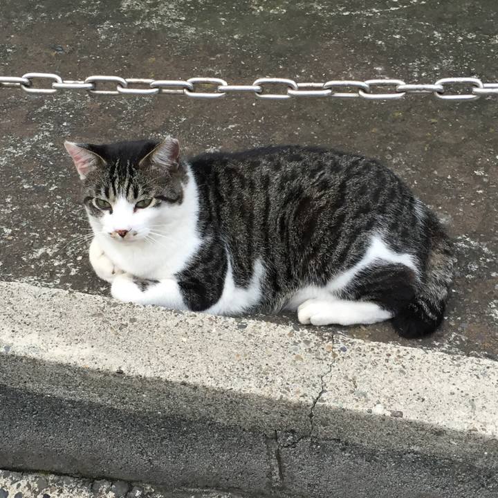 Af7fab7e 6f69 48e2 af0f 7b2df7ff34eb