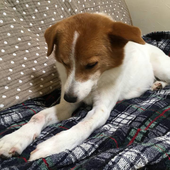 Af806d30 a10f 45a8 adc5 4813dbf065da