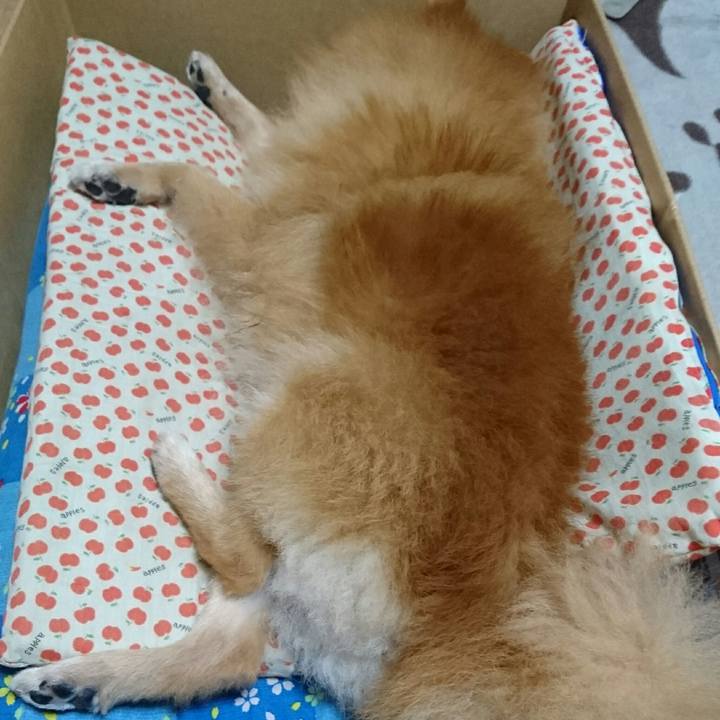 Af80851e dab9 43ac ad73 6e83c180af71