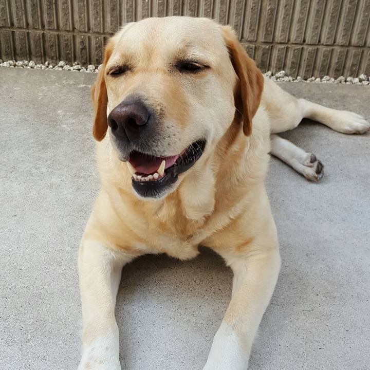 Af809e72 15f7 4018 97f5 c4cd19745ee3