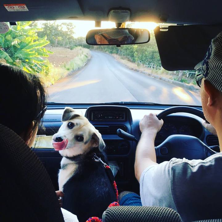 Af815c78 30f9 45f6 8837 0213ab4452ab