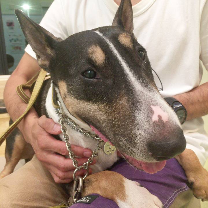 Af8171d7 ecdf 4f22 b16e 600277e1de14