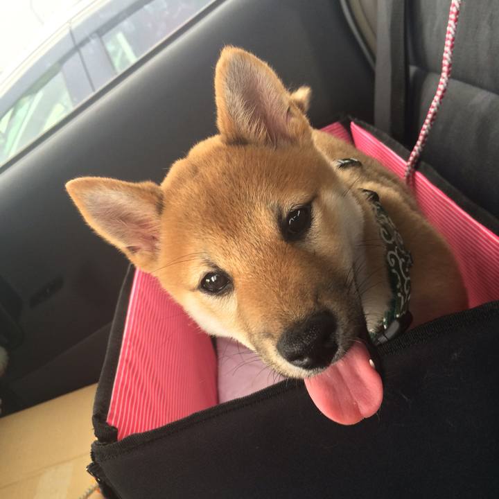 Af818055 d804 49e1 9faf 1bb1dd254c35