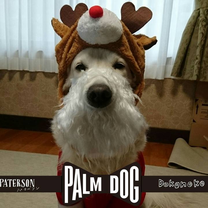 Af81dd35 cf4f 436f 8da6 31bca2be9d14