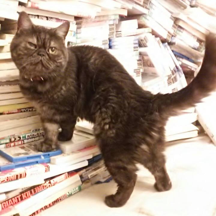 Af82a876 df27 47b8 8eb7 c075c41529cf