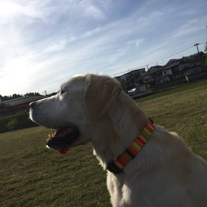 Af82be5a 96a3 4eb2 91da 0ad0a9623ddf