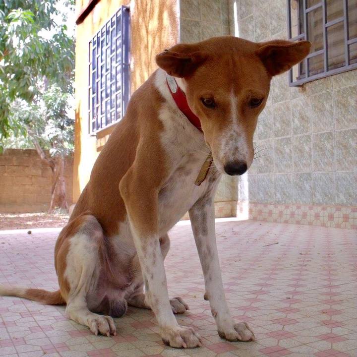 Af8344f5 618a 4e54 85f2 76e88823edcb