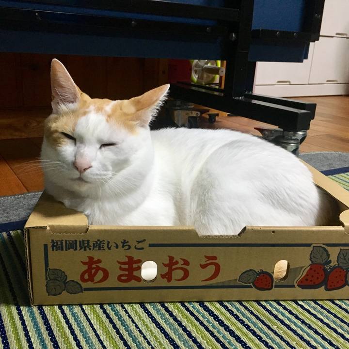 Af83b1b1 2168 40d8 9994 e37d3ef503d7