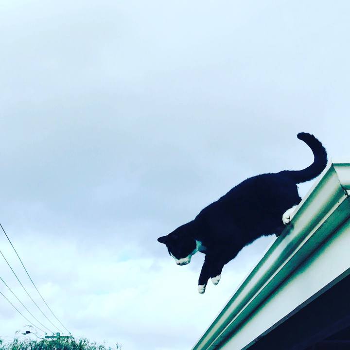 Af83d39d f193 4cf7 9566 3917da64017c