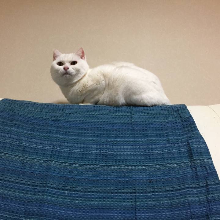 Af841b96 d6ac 41d2 90a7 6dc8607d5f90