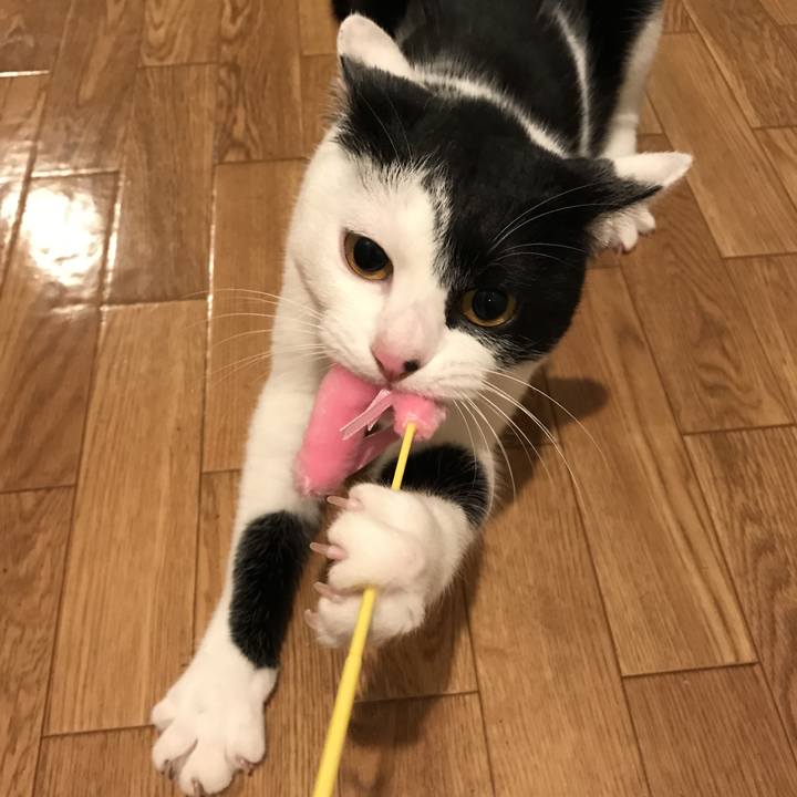 Af8444aa 3cb8 454f 90e7 c1c6f71324af