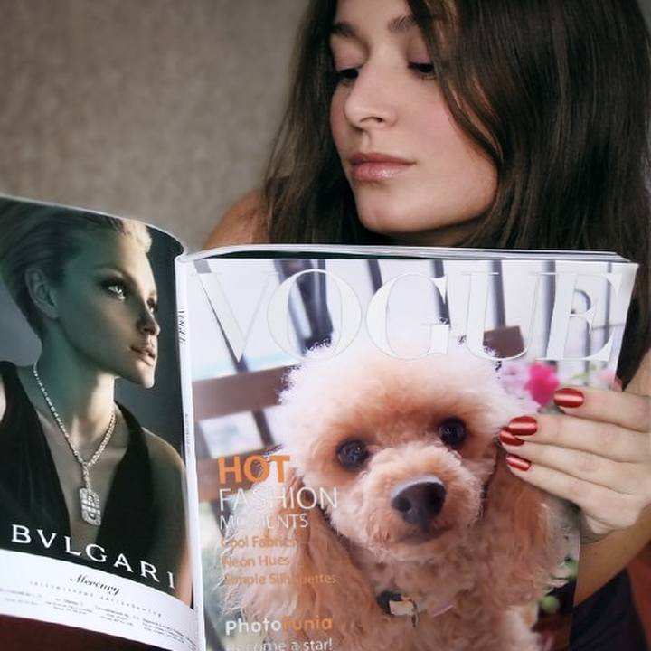 Af848463 beb1 424b 8eb6 c66852a23111