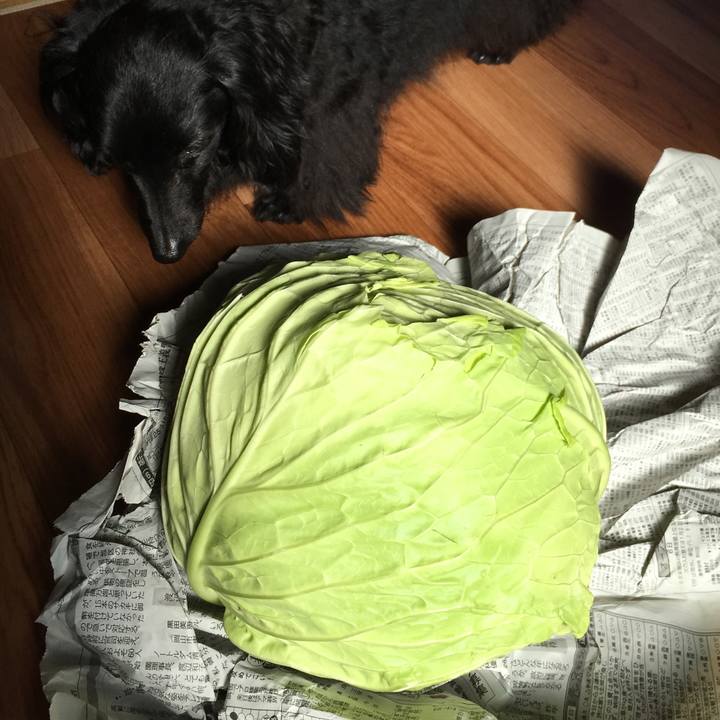 Af8492d8 1b71 4c61 8cb0 cb6ff193987d